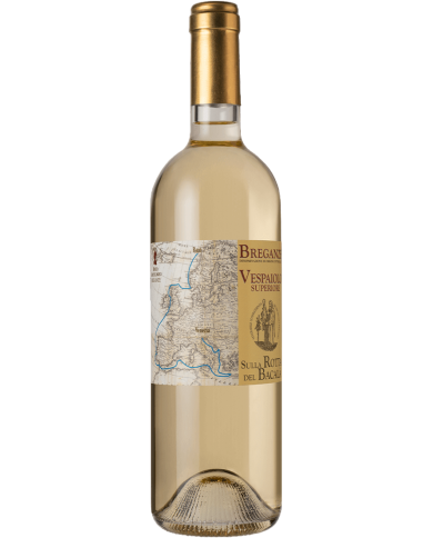 VESPAIOLO SULLA ROTTA DEL BACALA' BREGANZE (2024)| ML. 750