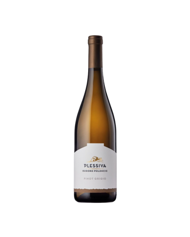 PINOT GRIGIO POLENCIC (2024)| ML. 750