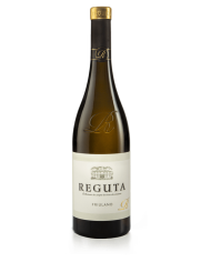 FRIULANO COLLIO REGUTA (2023)| ML. 750