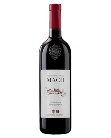 MARZEMINO IST. AGR. SAN MICHELE (2022)| ML. 750