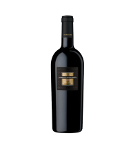 DOLCETTO D'ALBA BERA (2023)| ML. 750