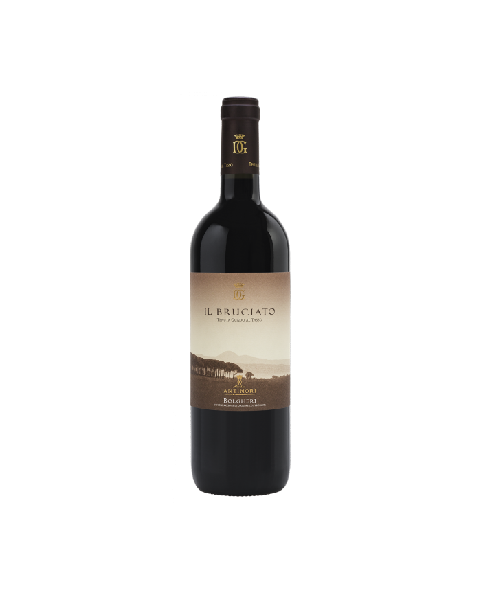 IL BRUCIATO ANTINORI (2023)| ML. 750