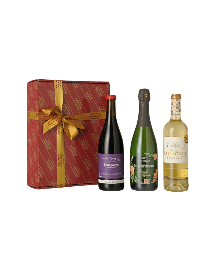 CONFEZIONE VINS DE FRANCE -MARNE- BAULETTO DA 3 BOTTIGLIE