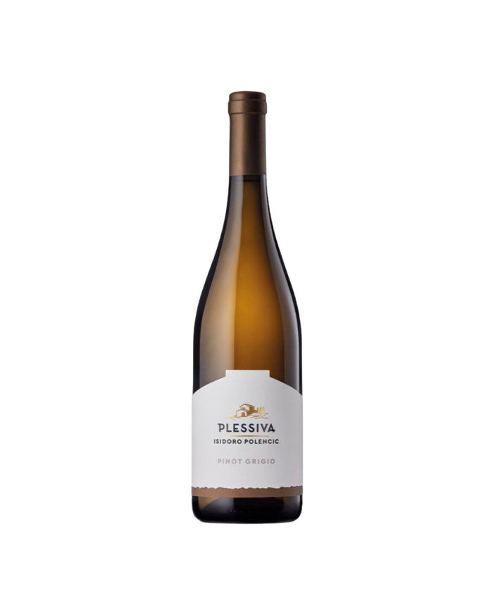 PINOT GRIGIO POLENCIC (2024)| ML. 750