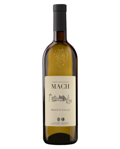MOSCATO GIALLO IST. AGR. SAN MICHELE (2024)| ML. 750
