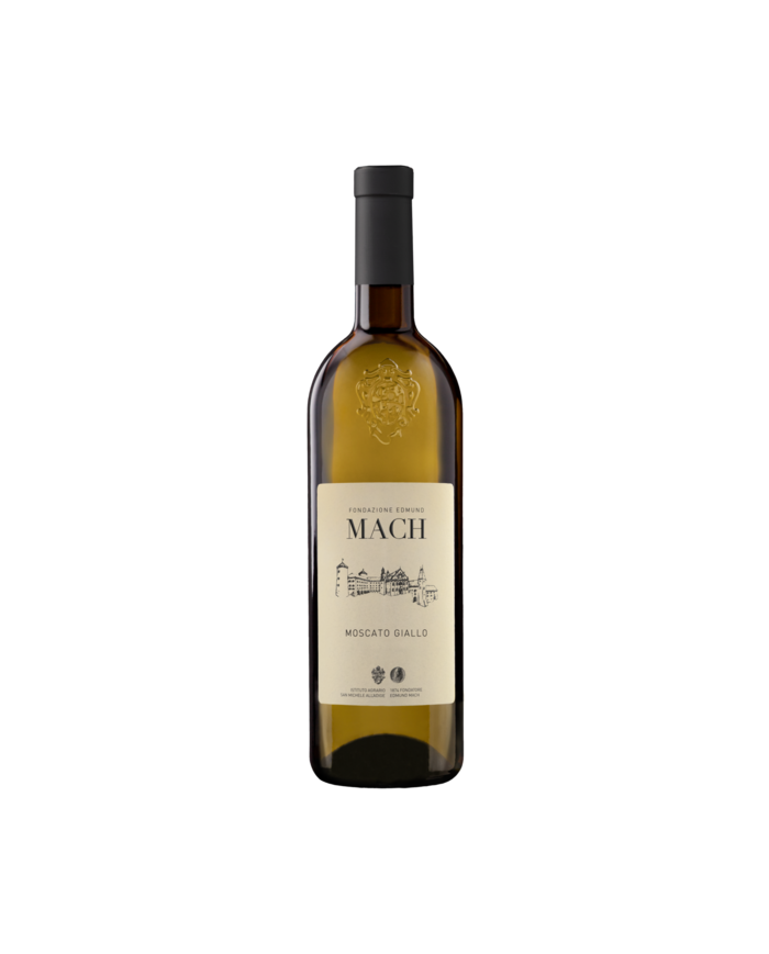 MOSCATO GIALLO IST. AGR. SAN MICHELE (2024)| ML. 750