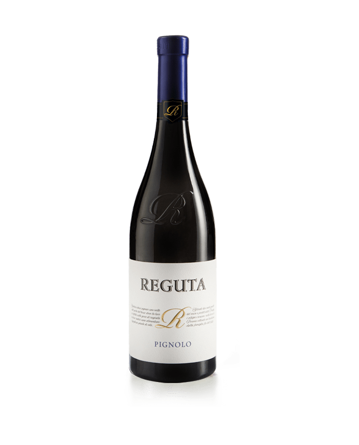 PIGNOLO ROSSO REGUTA (2023)| ML. 750