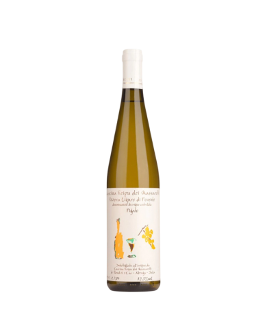 PIGATO DI ALBENGA FEIPU DEI MASSARETTI (2024)| ML. 750