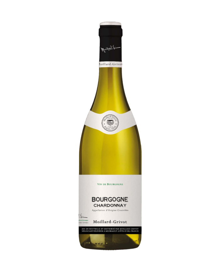 BOURGOGNE CHARDONNAY MOILLARD (2021)| ML. 750