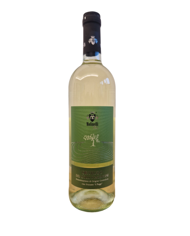 ORTRUGO FRIZZANTE I POGGI MOLINELLI (2024)| ML. 750