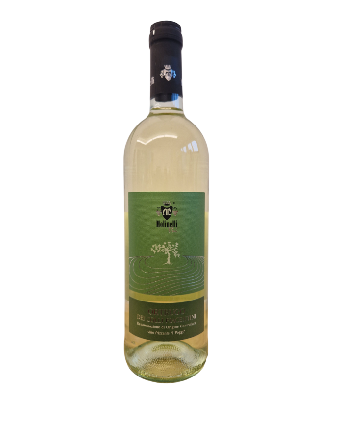 ORTRUGO FRIZZANTE I POGGI MOLINELLI (2024)| ML. 750