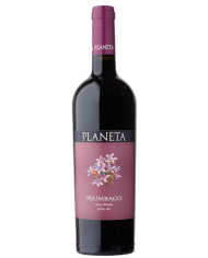 DOLCETTO D'ALBA BERA (2023)| ML. 750