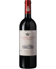GUADO AL TASSO ANTINORI (2020)| ML. 750