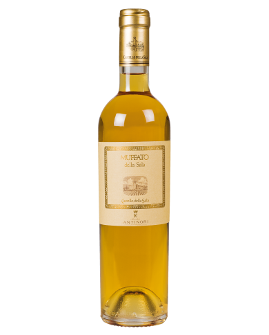 MUFFATO DELLA SALA ANTINORI (2019)| ML. 500