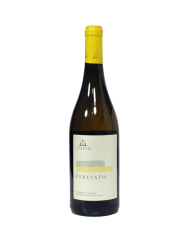 PERCIATO BIANCO FENECH - BIO (2023)| ML. 750