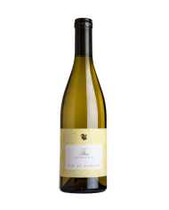 SAUVIGNON PIERE VIE DI ROMANS (2023)| ML. 750