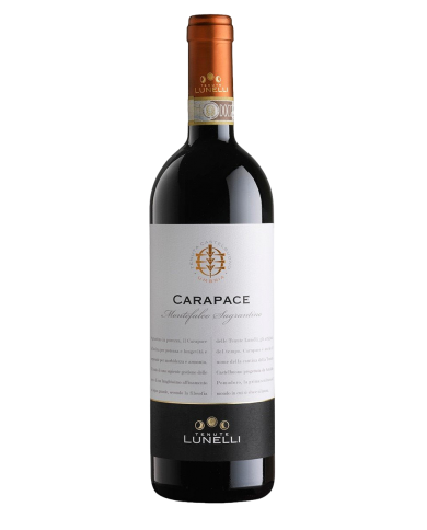 SAGRANTINO DI MONTEFALCO CARAPACE LUNELLI, BIO (2019)| ML. 750