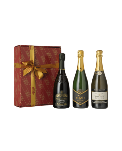 CONFEZIONE VINI D`ITALIA -STELVIO- BAULETTO DA 3 BOTTIGLIE