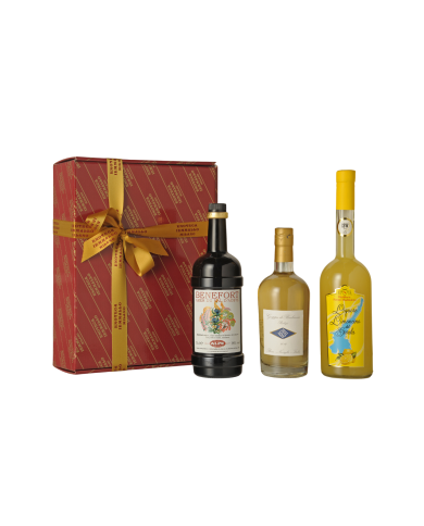 CONFEZIONE LIQUORI D`ITALIA -GARDA- BAULETTO DA 3 BOTTIGLIE
