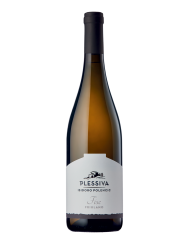 FISC FRIULANO POLENCIC (2022)| ML. 750