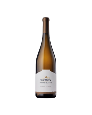 RIBOLLA GIALLA POLENCIC (2024)| ML. 750