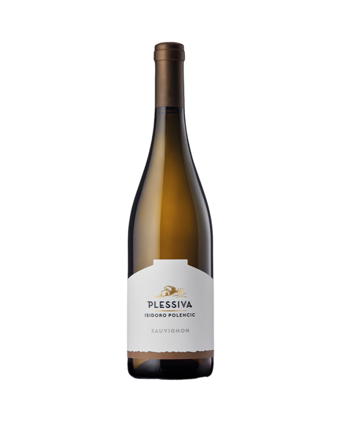 SAUVIGNON POLENCIC (2024)| ML. 750