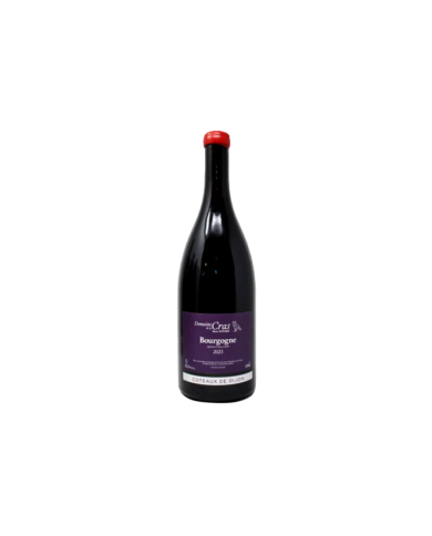 BOURGOGNE PINOT NOIR ROUGE DOMAINE DE LA CRAS (2023)| ML. 750