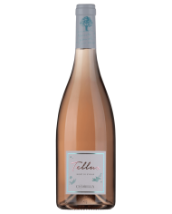 TELLUS ROSATO COTARELLA (2023)| ML. 750