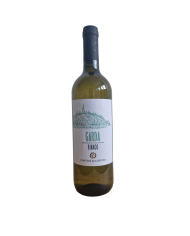 CUSTOZA CANTINA DI CUSTOZA (2024)| ML. 750