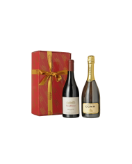 CONFEZIONE VINI D`ITALIA -TONALE- BAULETTO DA 2 BOTTIGLIE