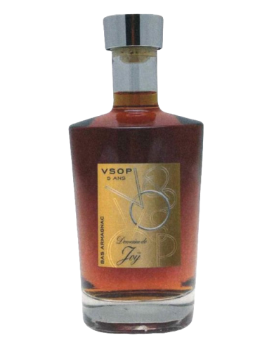 ARMAGNAC BAS DOMAINE JOY VSOP 5 ans CARAFE| ML. 700