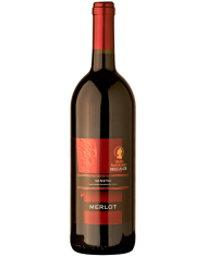 BAROLO LE COSTE GRIMALDI (2015)| ML. 750