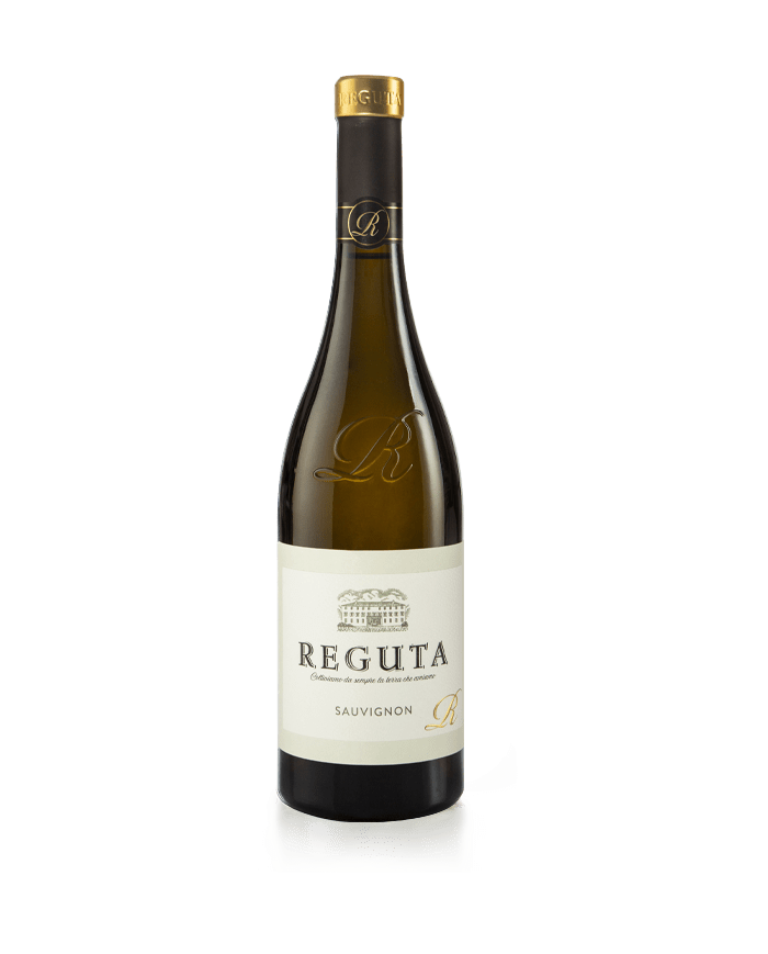 SAUVIGNON REGUTA (2024)| ML. 750