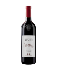 TEROLDEGO ROTALIANO IST. AGR. SAN MICHELE (2022)| ML. 750