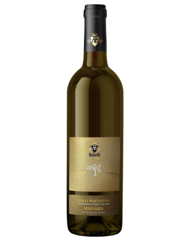 MALVASIA SECCO FRIZZANTE MOLINELLI (2025)| ML. 750
