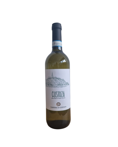 CUSTOZA CANTINA DI CUSTOZA (2025)| ML. 750
