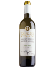 RIBOLLA GIALLA REGUTA (2024)| ML. 750
