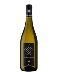 CHARDONNAY PURE ORIGIN MARTINI & SOHN (2025)| ML. 750