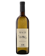 CHABLIS GLOIRE DE CHABLIS J.MOREAU & FILS (2023)| ML. 750