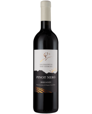 BARBERA D'ALBA NADA (2022)| ML. 750