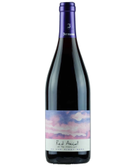 RED ANGEL PINOT NERO JERMANN (2021)| ML. 750
