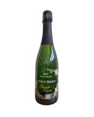 SPUMANTE BREGANZE PROSECCO DIAMANTE BRUT| ML. 750