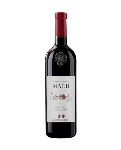 TEROLDEGO ROTALIANO IST. AGR. SAN MICHELE (2022)| ML. 750