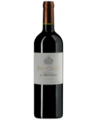 CABERNET SAUVIGNON LE BUGNE MENEGOTTI (2021)| ML. 750